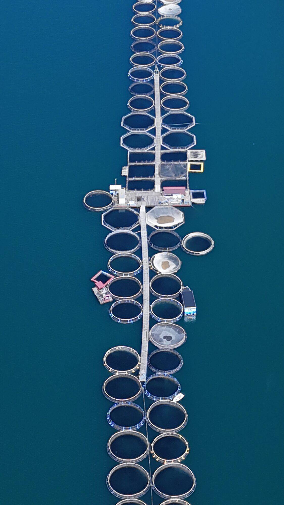 DJI 20260426143451 0187 D scaled