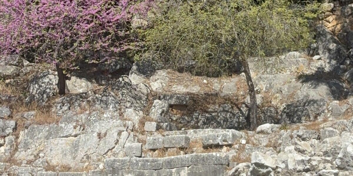 IMG E7715