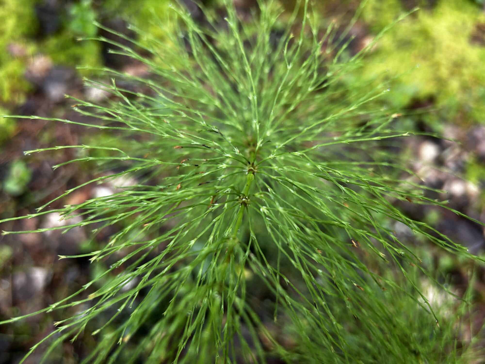 IMG 0104 scaled