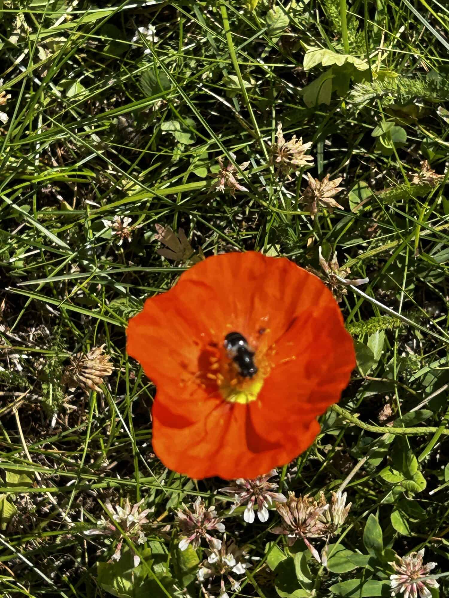 IMG 9753 scaled