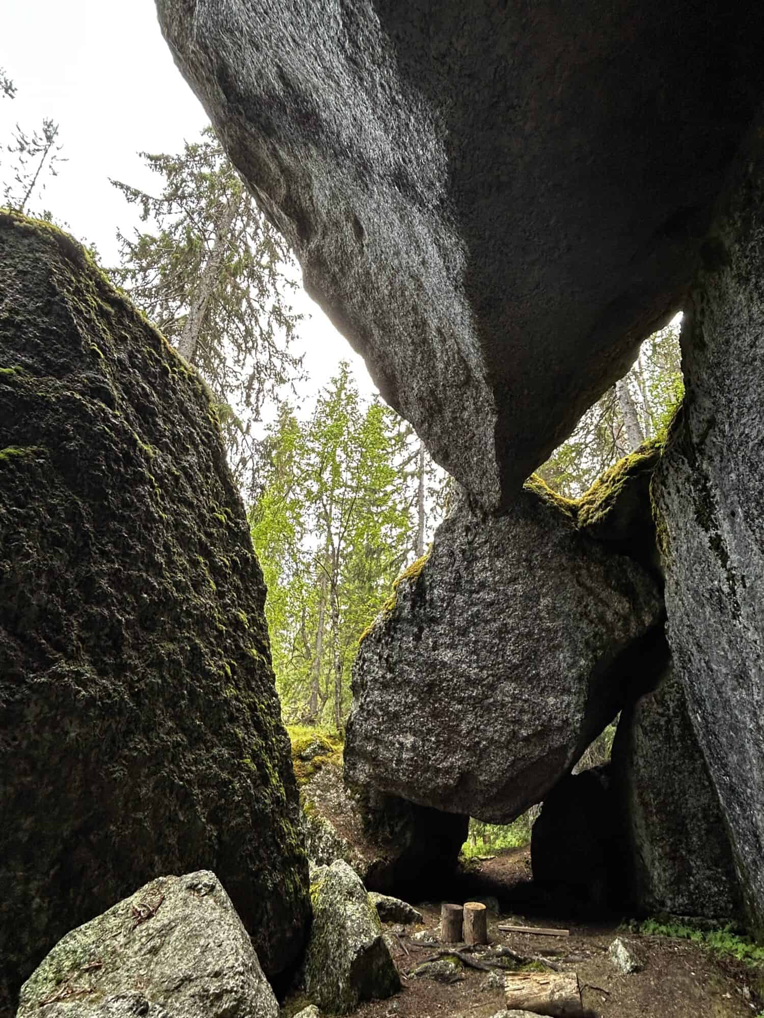 IMG 9928 scaled