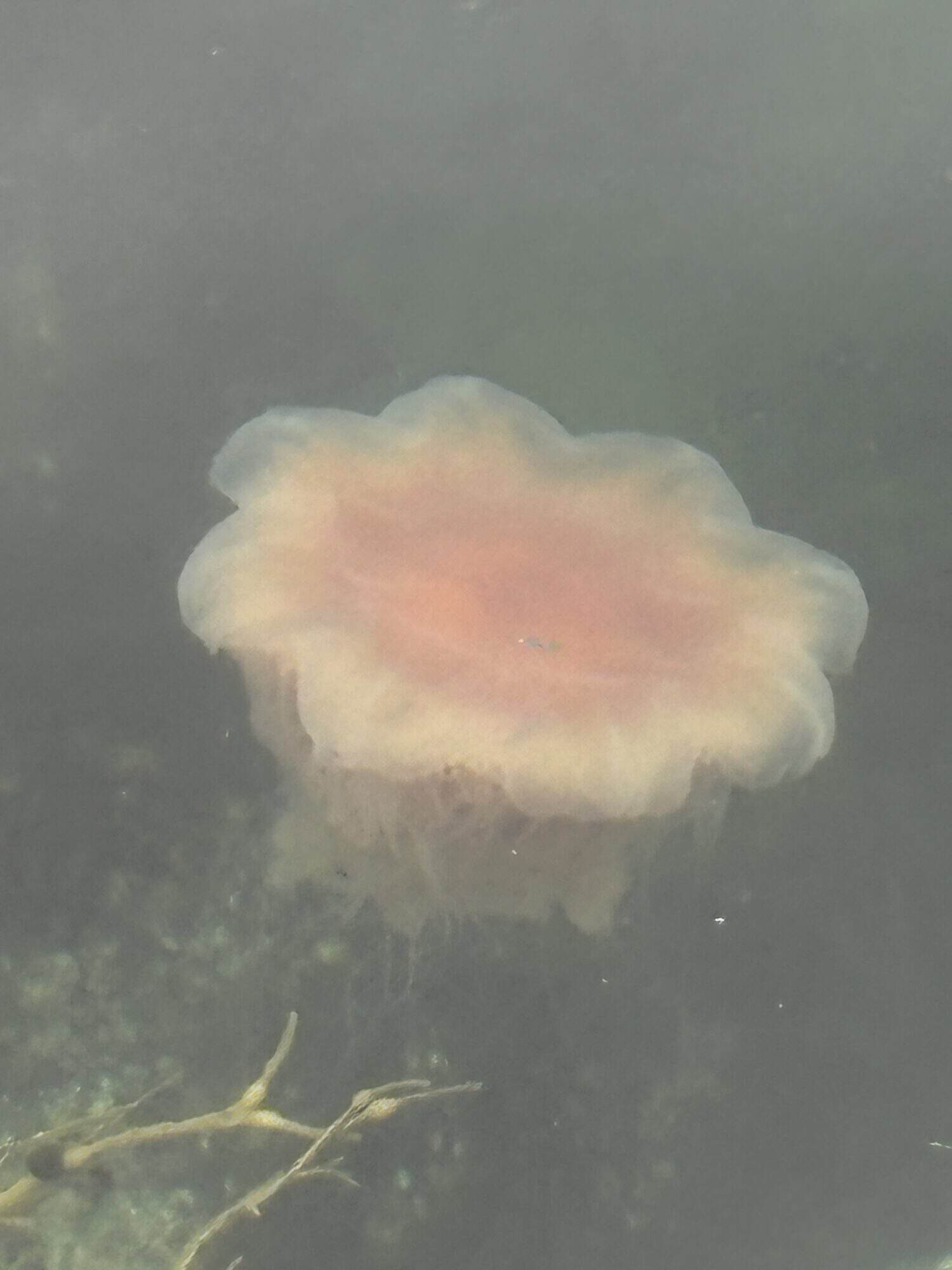 IMG 0570 scaled