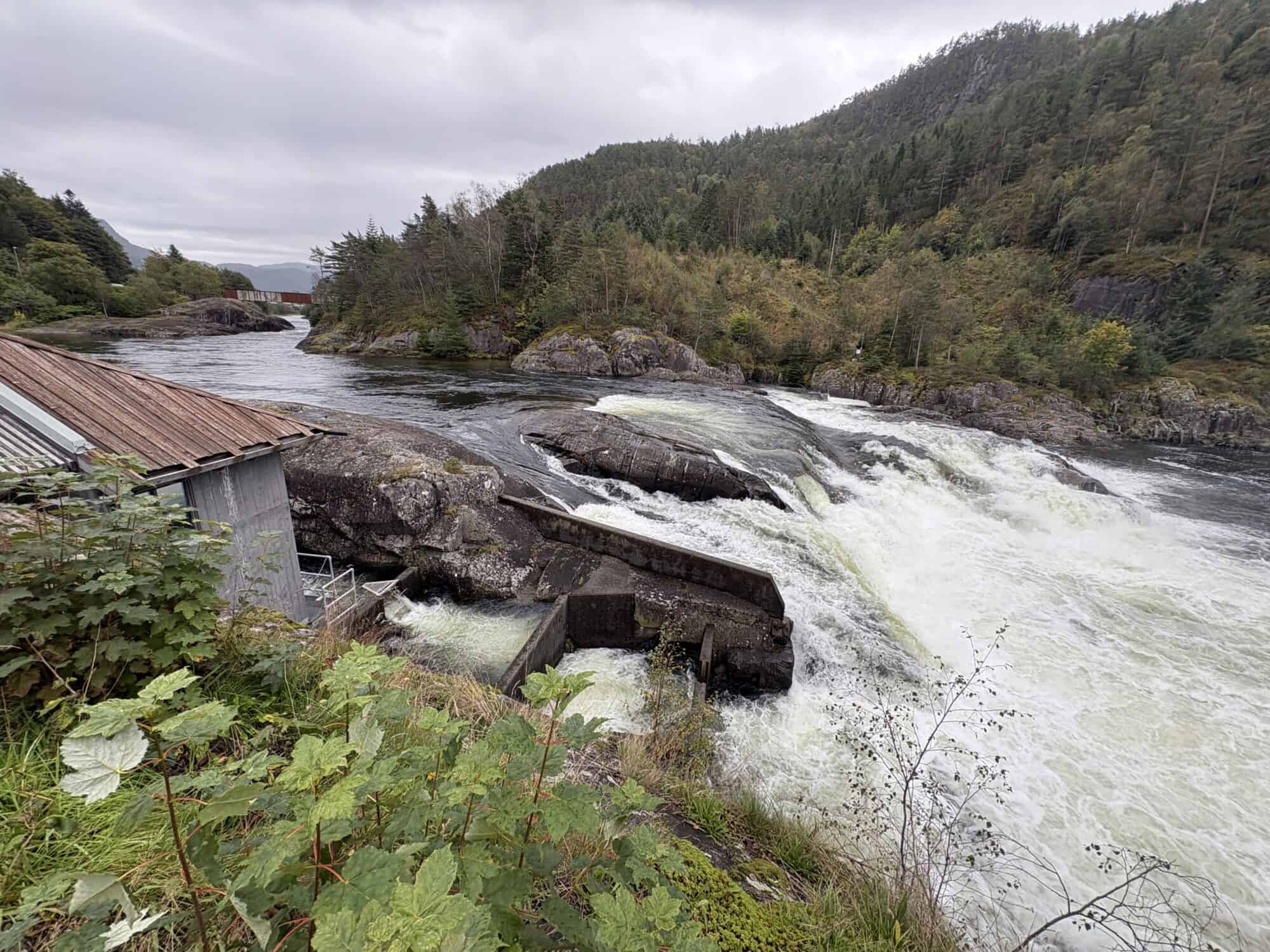 IMG 1691 scaled