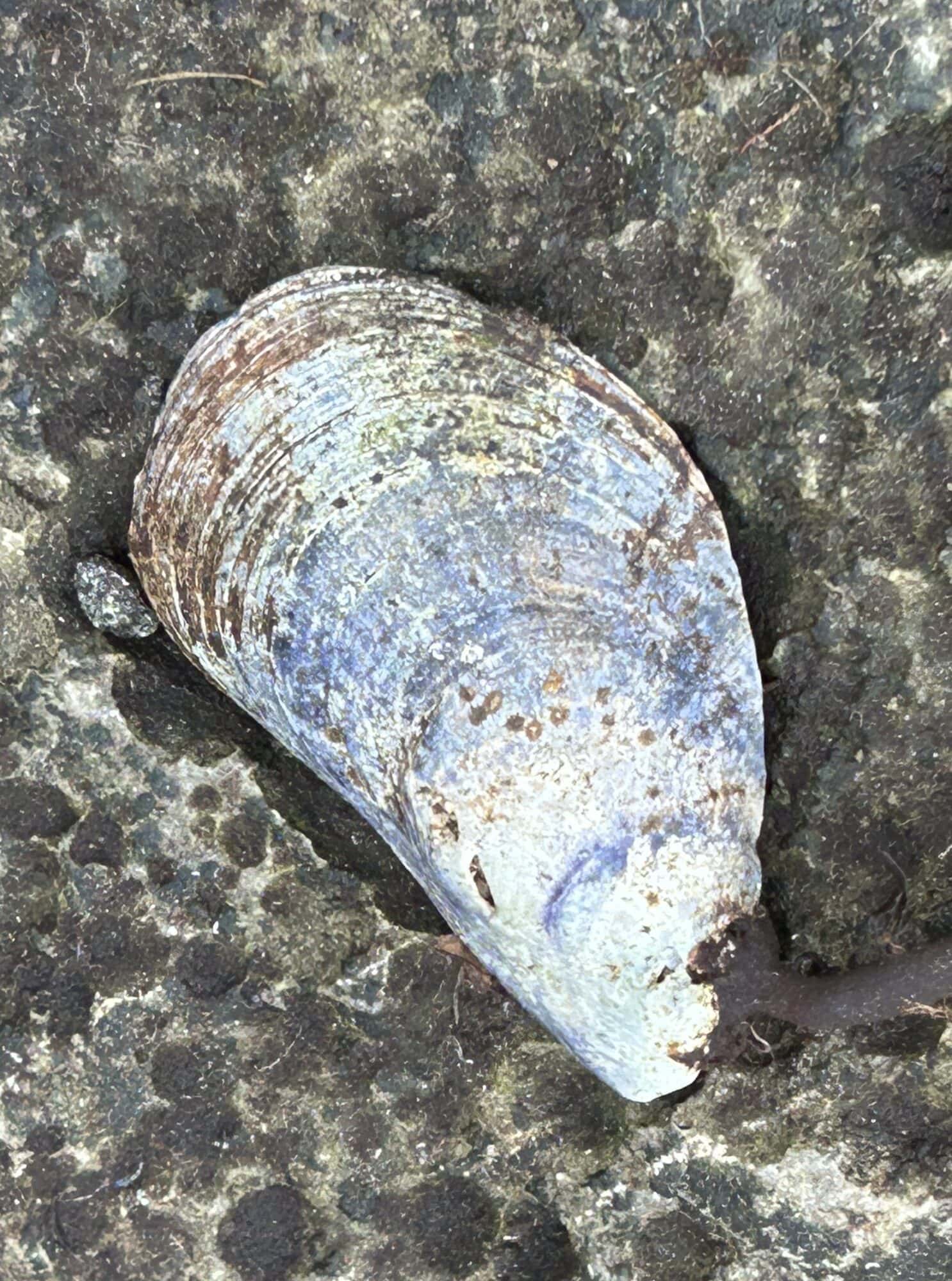 IMG 3418 scaled